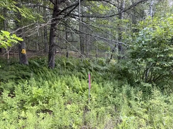 110 Calderwood Road, Washington, ME 04574