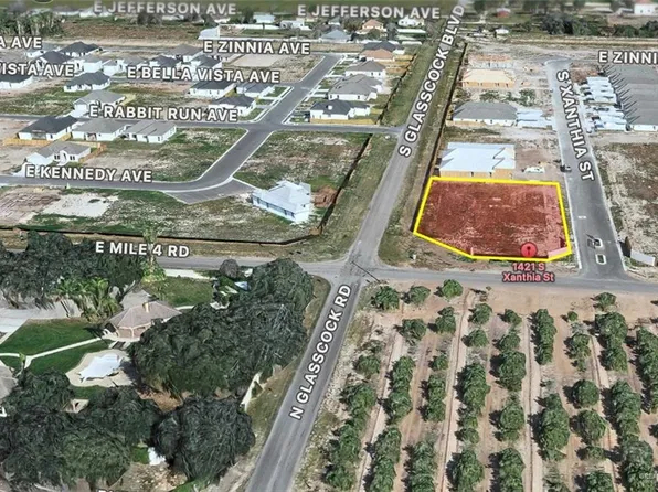 1421 S Xanthia St, Alton, TX 78573