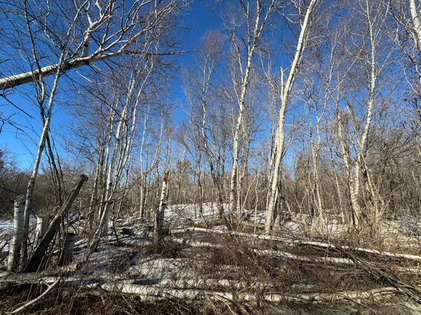 Lot 136 Route 170, Kingman Twp, ME 04451