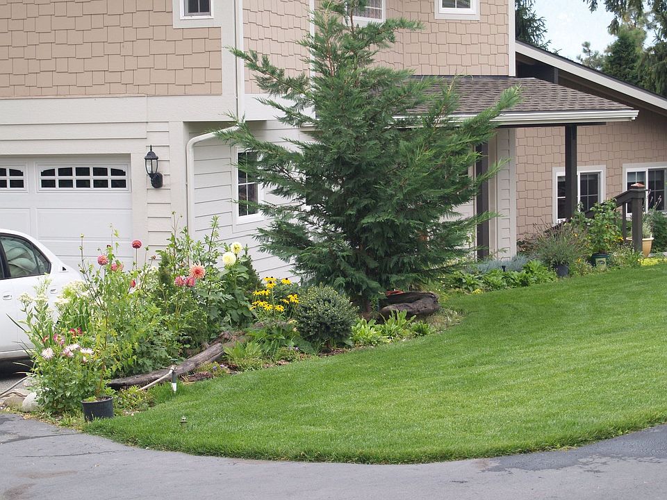 Front yard