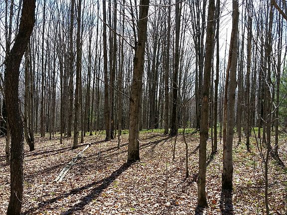 4th image of 3047 County Road 8