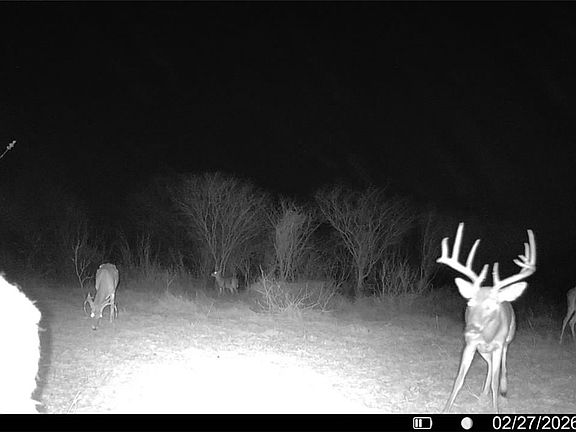 3rd image of 0 County Road 119