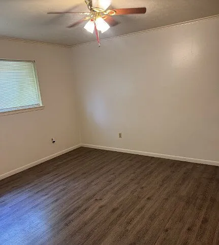 801 Calvin St #D — Photo 4
