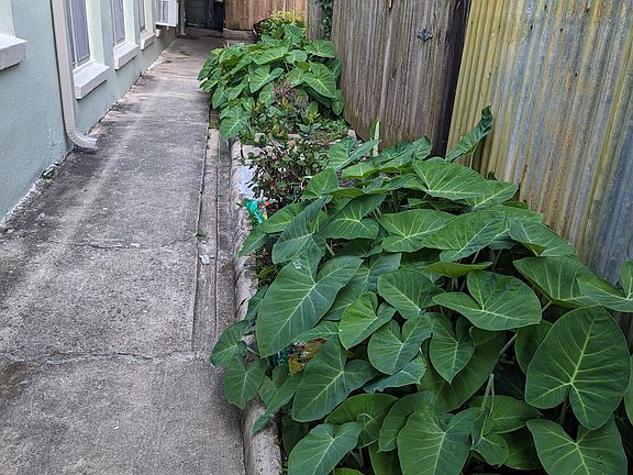 Go thru a Garden and Small Patio Area