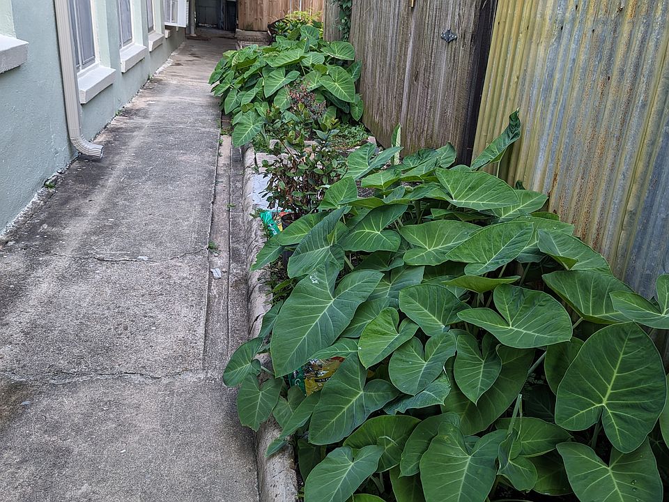 Go thru a Garden and Small Patio Area