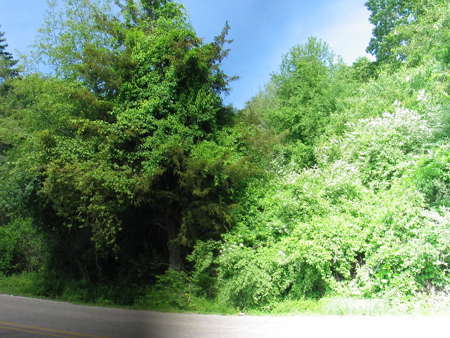11752 Baker Rd photo 1