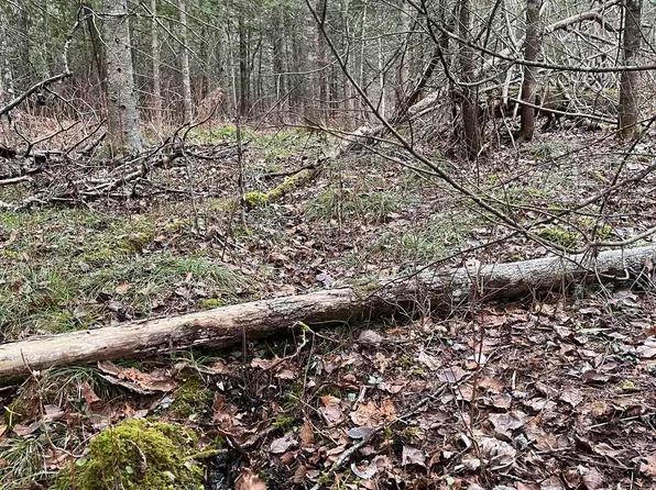 M 123 Hwy, Moran, MI 49760