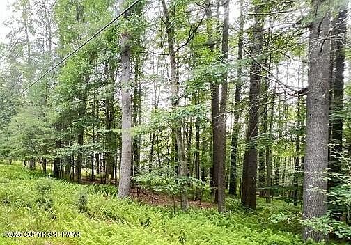 1st image of LOT 53 Stony Hollow Cir