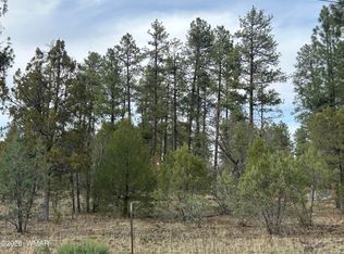 NULLY Hilltop Ln, Lakeside, AZ 85929