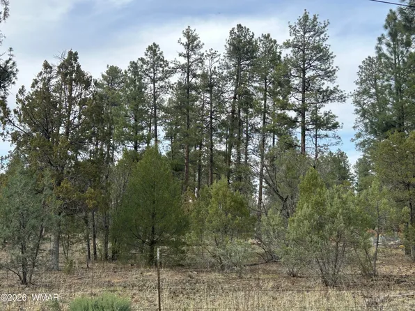 NULLY Hilltop Ln, Lakeside, AZ 85929