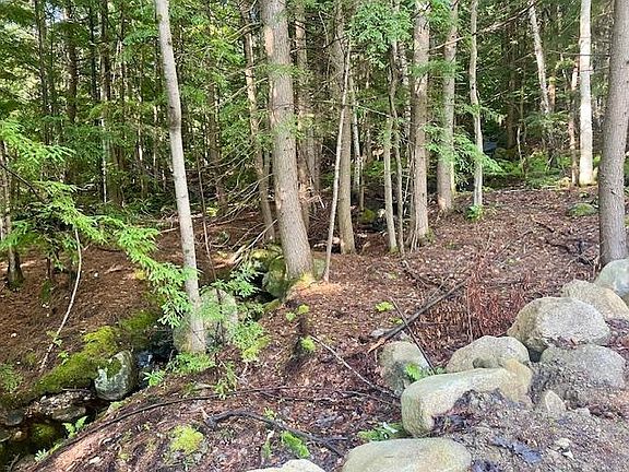 5th image of White Birch Acres Street