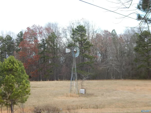 8634A County Road 141, Henagar, AL 35978