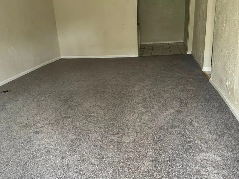 1132 E Main St — Photo 12