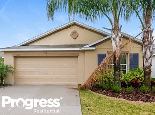 1605 Climbing Dayflower Dr, Ruskin, FL 33570