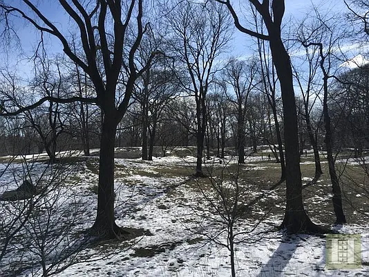 Rented by Halstead Real Estate | media 19