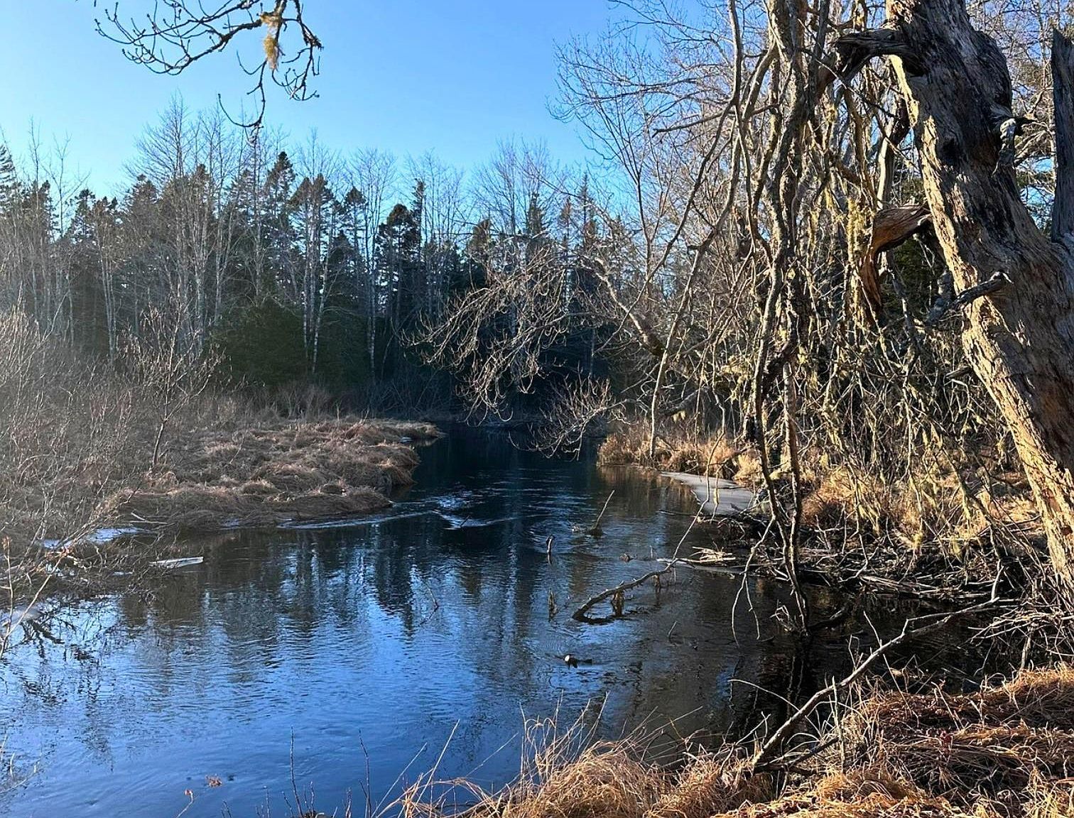 18474 Highway 103, Middlewood, NS B4V 6J8 Zillow