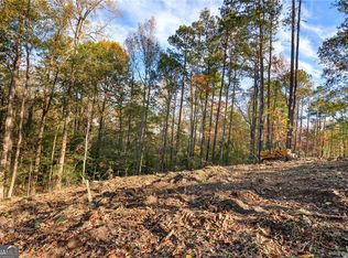 1677 Daffodil Dr, Marietta, GA 30062