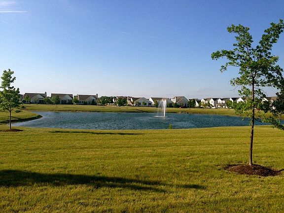 Pond View
