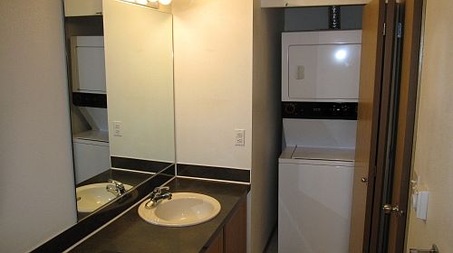 Common bath with washer/dryer