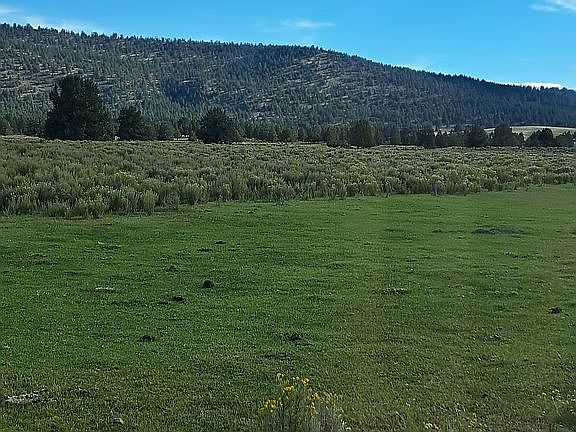 Valley below view.