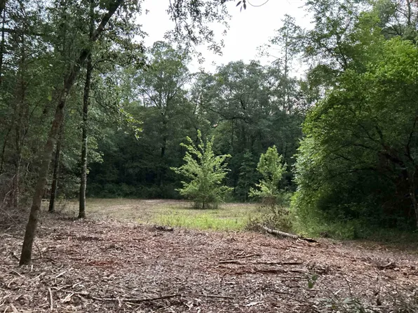 35 Falco Rd, Andalusia, AL 36420
