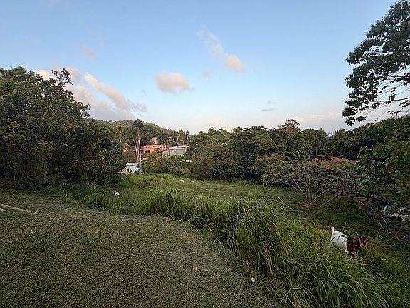House on Large Lot