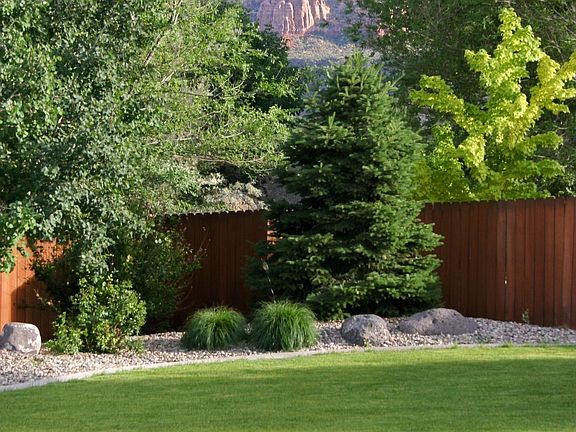 Back yard