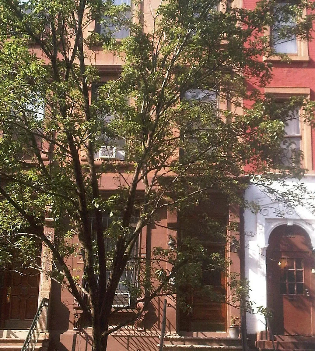 212 West 123rd Street — Photo 4