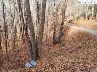 105 W Blueberry Ln, Banner Elk, NC 28604