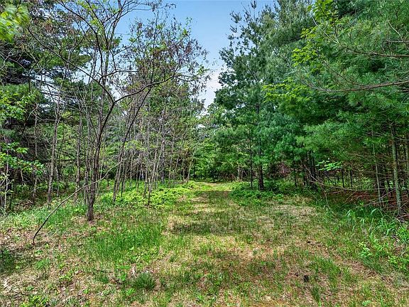 3rd image of 8355 Halfmoon Lake Drive