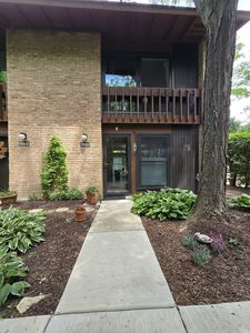 5961 Meadow Dr #161-F, Lisle, IL, 60532