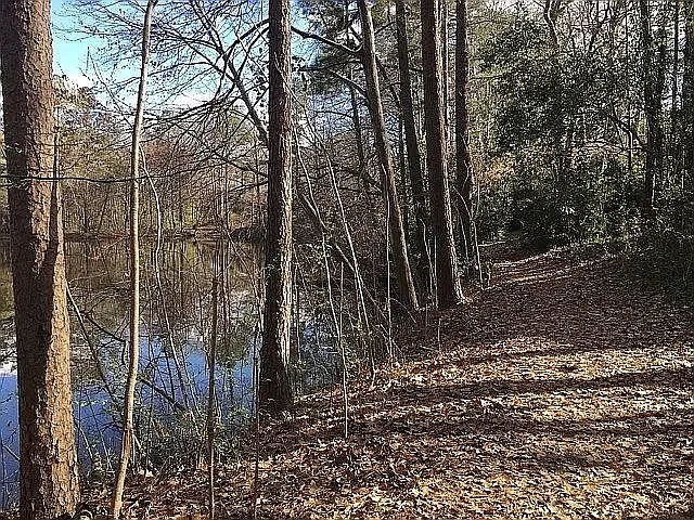 3008 Wycliff Rd — Photo 11