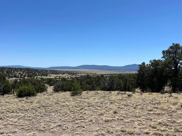 47 Golden Horseshoe Trl, Quemado, NM 87829
