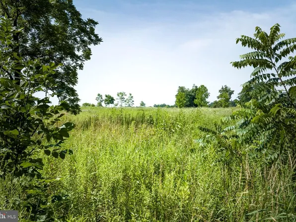 Ferguson Ln, Jeffersonton, VA 22724