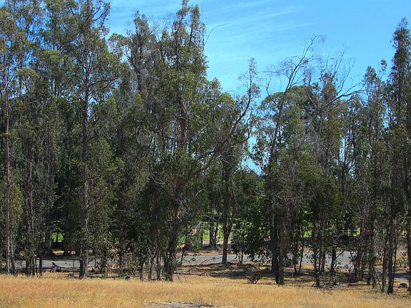 Black Lake Golf across Willo