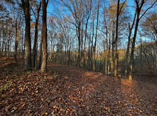 5.83 Leeches Rd, Ellijay, GA 30540