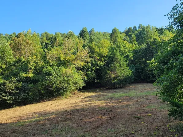 48 Hannah Branch Rd, Petersburg, TN 37144
