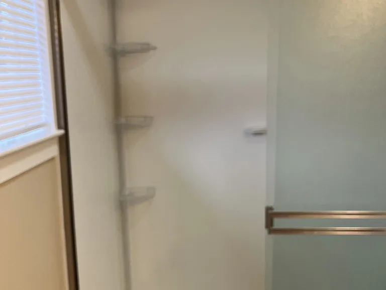 Walk in shower with storage space for shampoos and shower items