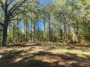 Dahlia Rd #1, Gilmer, TX 75644