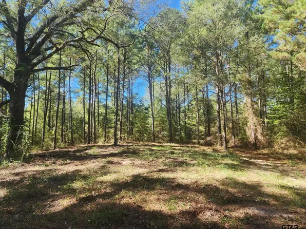 Dahlia Rd #2, Gilmer, TX 75644