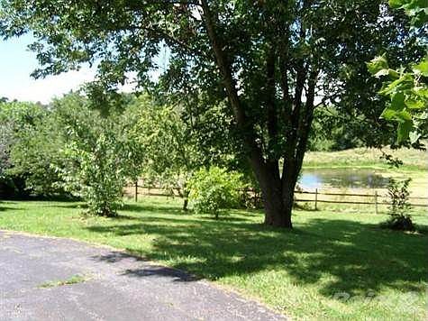 View from side of driveway