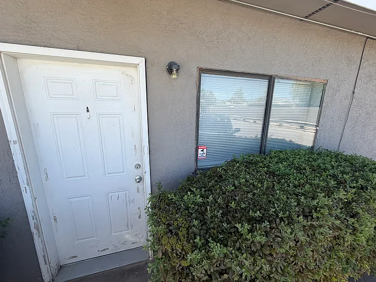 Gibson — Photo 6