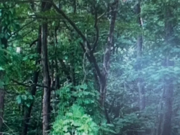 16 Lakeview Dr, Wantage Twp., NJ 07461