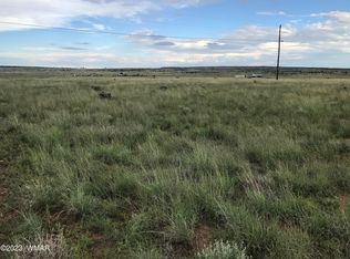 24 County Road 6032, Saint Johns, AZ 85936