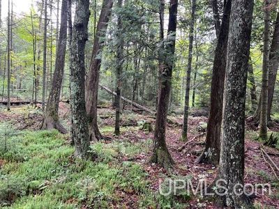 Cable Lake Rd, Amasa, MI, 49903