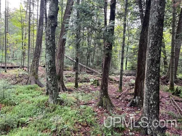 Cable Lake Rd, Amasa, MI 49903