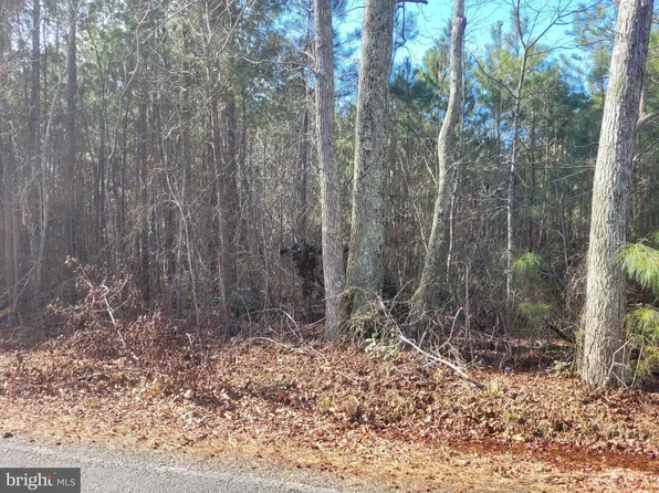 0-00 E Bogey Neck Rd, Heathsville, VA 22473