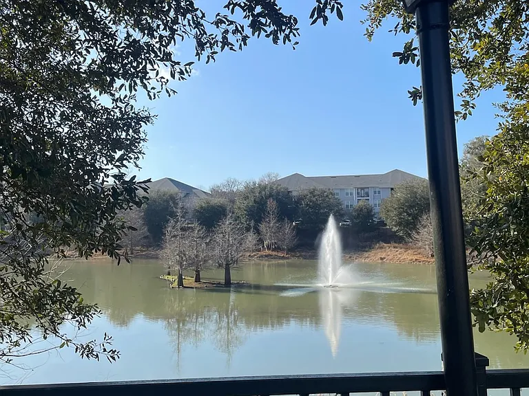 Arbor Landing at Lake Jackson — Photo 9