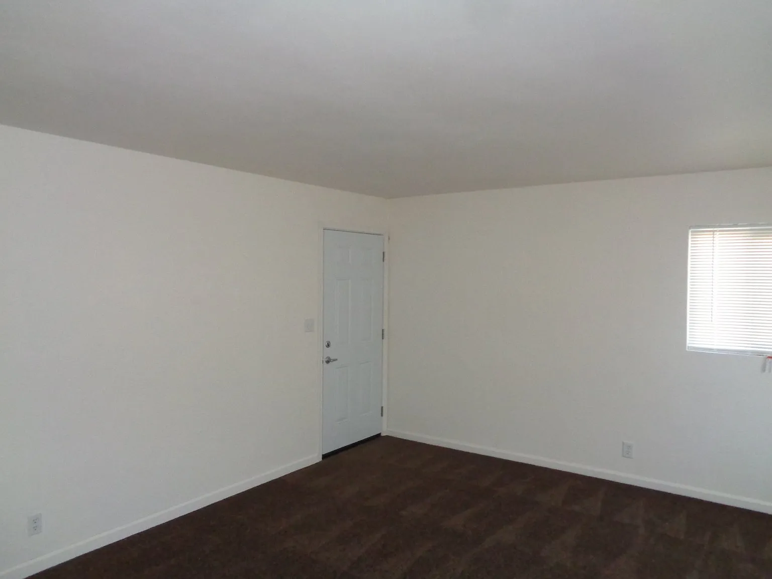 2 bed, 1.0 bath, 800 sqft, $1,850 — Photo 3