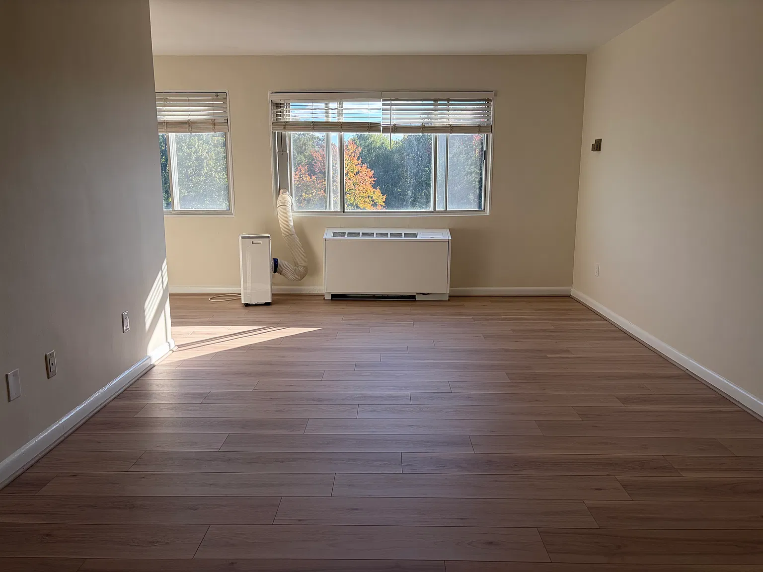 1 bed, 683 sqft, $2,300 — Photo 2